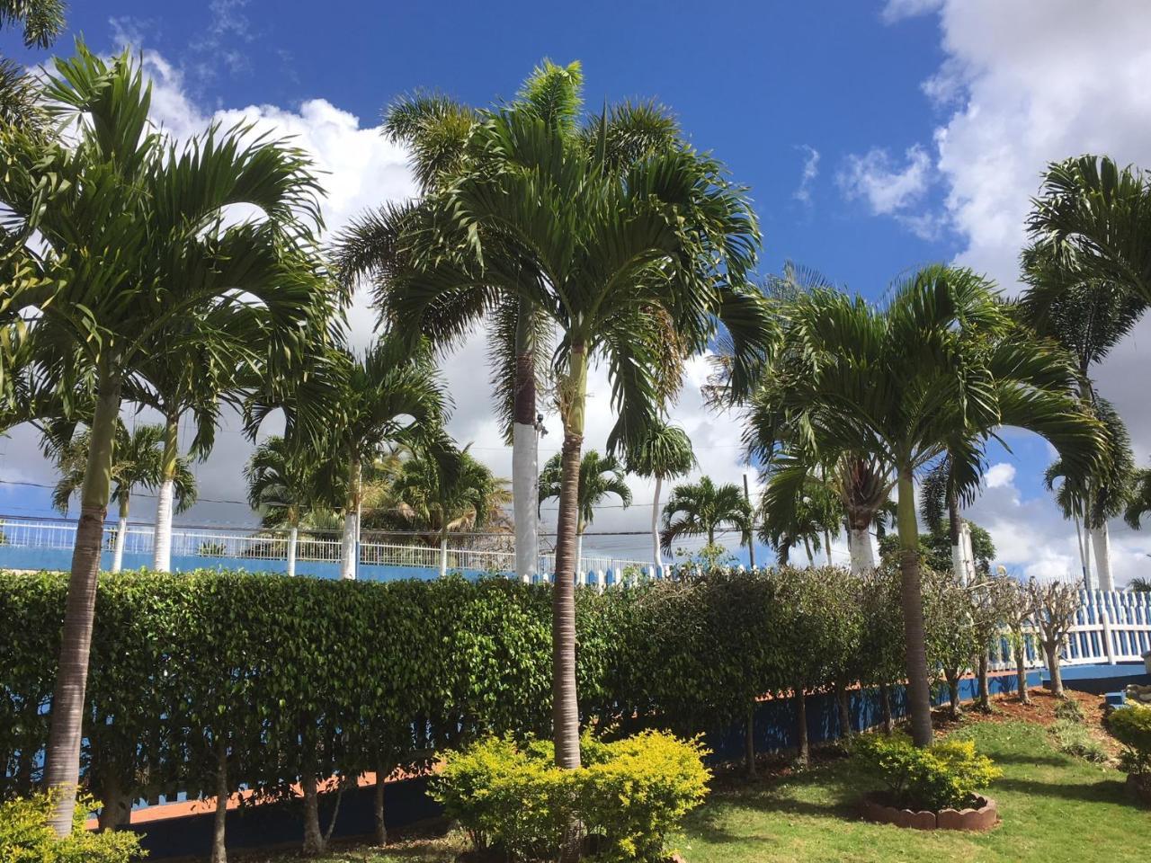 Tropics View Jamaica Hotel Hatfield Kültér fotó